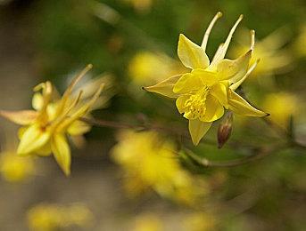 Suda51：《英雄不再3》暂时没有登陆其他平台的计划